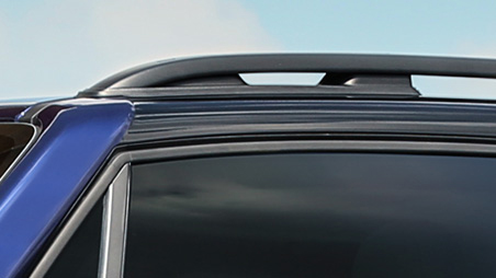 Barres de toit noires