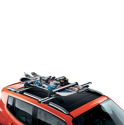 Barres de toit style buffle